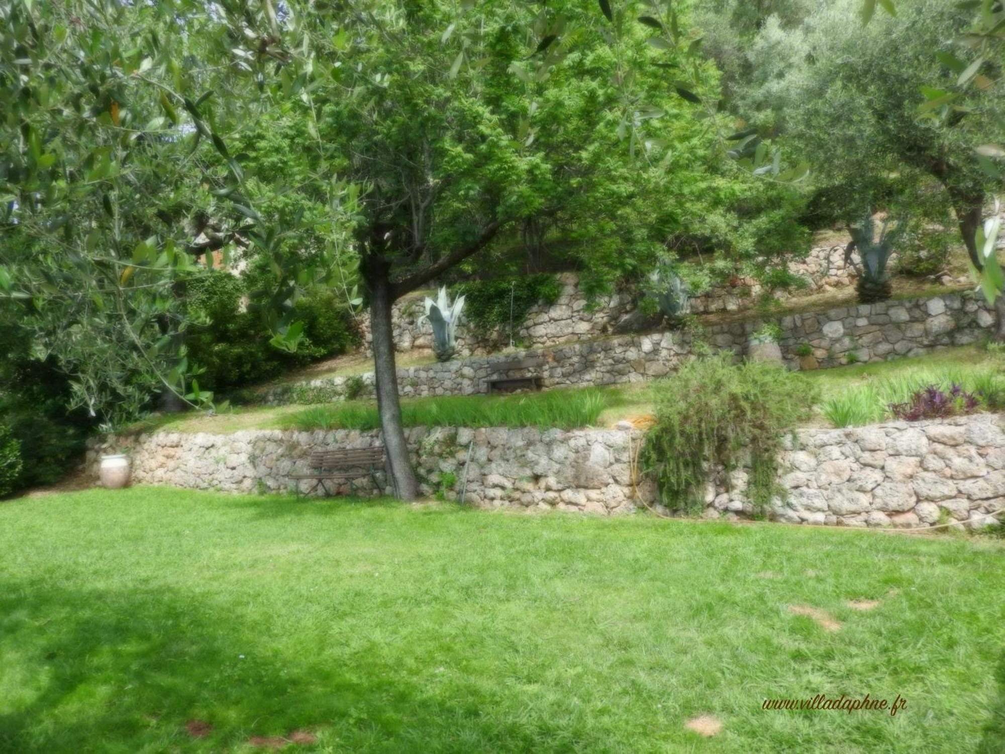 Villa Daphne Speracedes Exterior foto